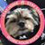 Denise Cleary Dunayczan's profile image
