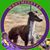 Karen Trenda Thayne's profile image