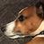 Danny Arkin's profile image