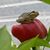 Linda Micka's profile image