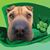 Jami Hendricks's profile image