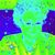 Nancy Kuechenmeister's profile image