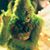 Zach Santor's profile image