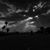 Art Rocha's profile image