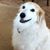 Susan Grace's profile image