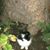 Mike L Dorr's profile image