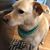 Jennifer Koon's profile image