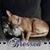 Anita Zidrich Cwiertniak's profile image