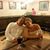 Stephanie Harmelink's profile image