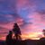 Alice Gamboa's profile image