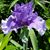 Sandy Sanburn's profile image