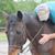 Jerry McTear's profile image