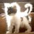 Joanna Hafner's profile image