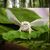 Anne Arkey's profile image
