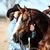 Janine Renfro-Inmon's profile image