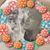 Jana Stange Lew's profile image