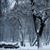 Gail Reeter Richards's profile image