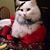 Cindie Hiher Johnson's profile image