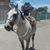 Antonio Hinojosa's profile image