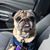 Darren Lambright's profile image