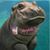 Kelly Braun's profile image