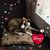 Alice Williams Dominguez's profile image