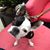 Jeannine M Arnold's profile image
