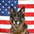 Militarydog Rob's profile image