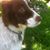 Marie Peterson Veselsky's profile image