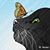 Jacki Pitts Jonas's profile image