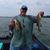 Bill Brown's profile image