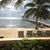 Susan Eickholtz Lewis's profile image