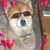 Cathy Harper's profile image