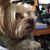 Donna Kay Callaway's profile image