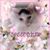 Edie Enders's profile image
