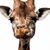Evangeline Yvonne Notonthispagenomore GuzmanLopez's profile image