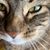 Beth Mirowski's profile image