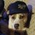 Josh Garrison's profile image