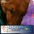 Jenny Lane's profile image