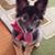 Janice Bechke Furlong's profile image