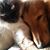 Alane Wainwright's profile image