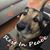 Beth Zahir's profile image