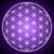 Robert Lopez's profile image