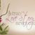 Amanda Day's profile image