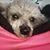 Lee Schultze's profile image