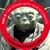 Maraline Ellis's profile image