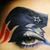 Maureen Kilroy Furtado's profile image