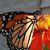 Chris Nevitt Crowe's profile image