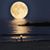Deb White's profile image