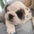 Karen Knee's profile image